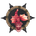 Icono de DefendR Pro